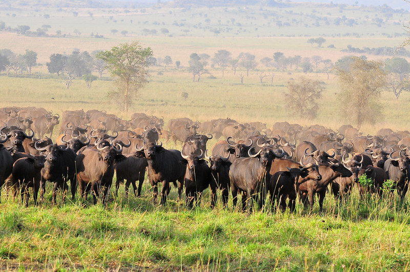 Kidepo Valley