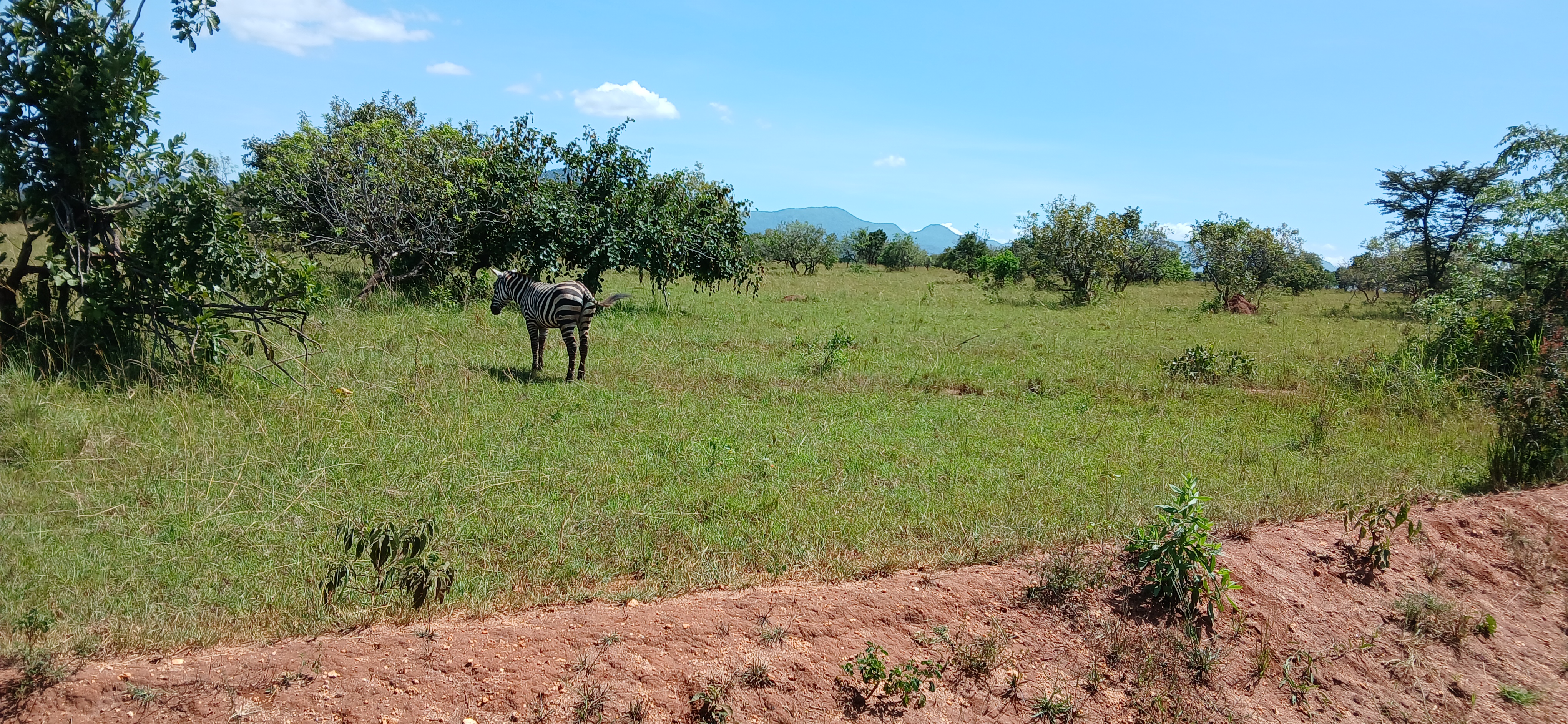 Hidden Safari Gems in Uganda: 7 Secret Wild Places Most Tourists Never See