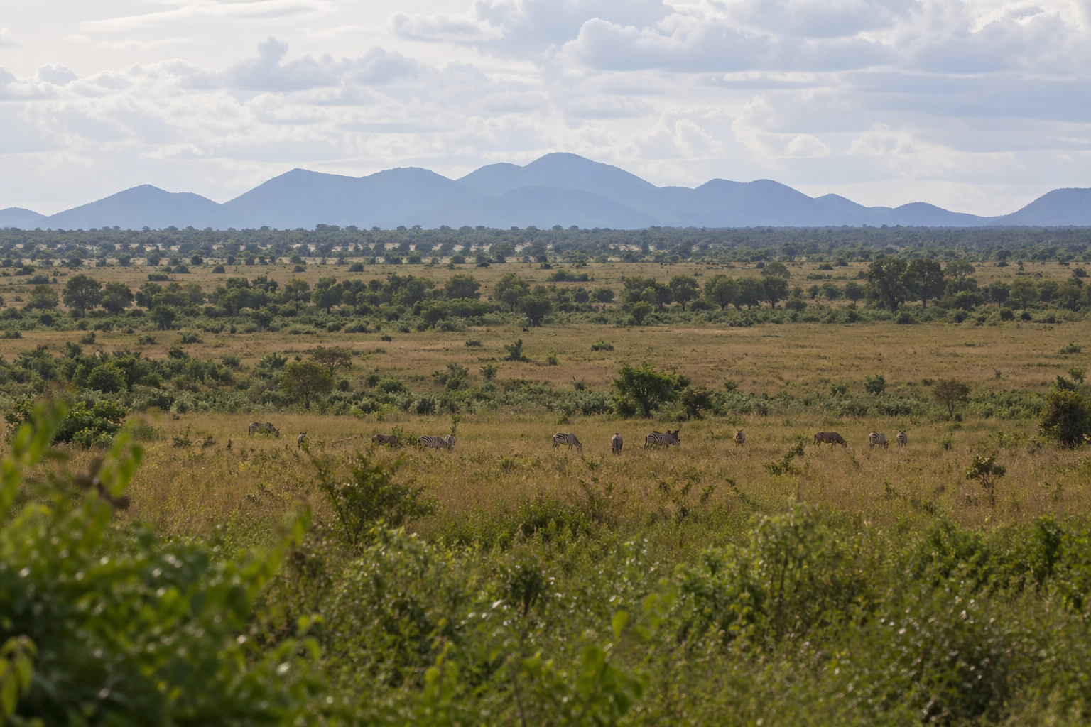 Kidepo Valley National Park