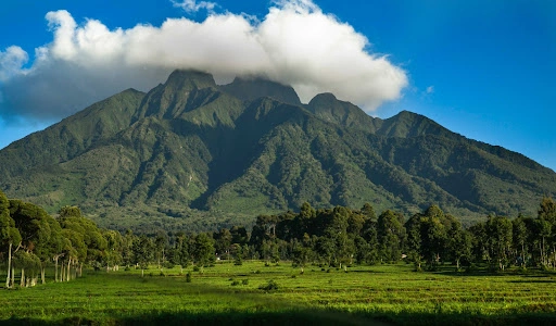 Mgahinga Gorilla National Park