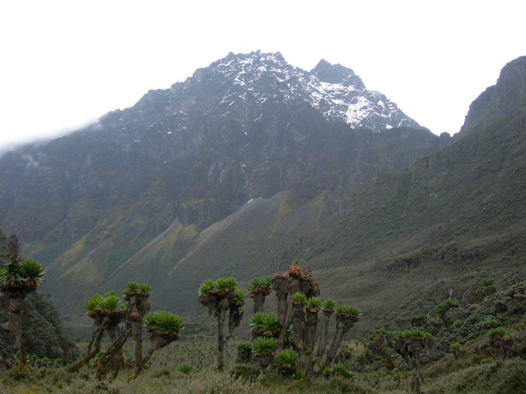 Mount Elgon National Park