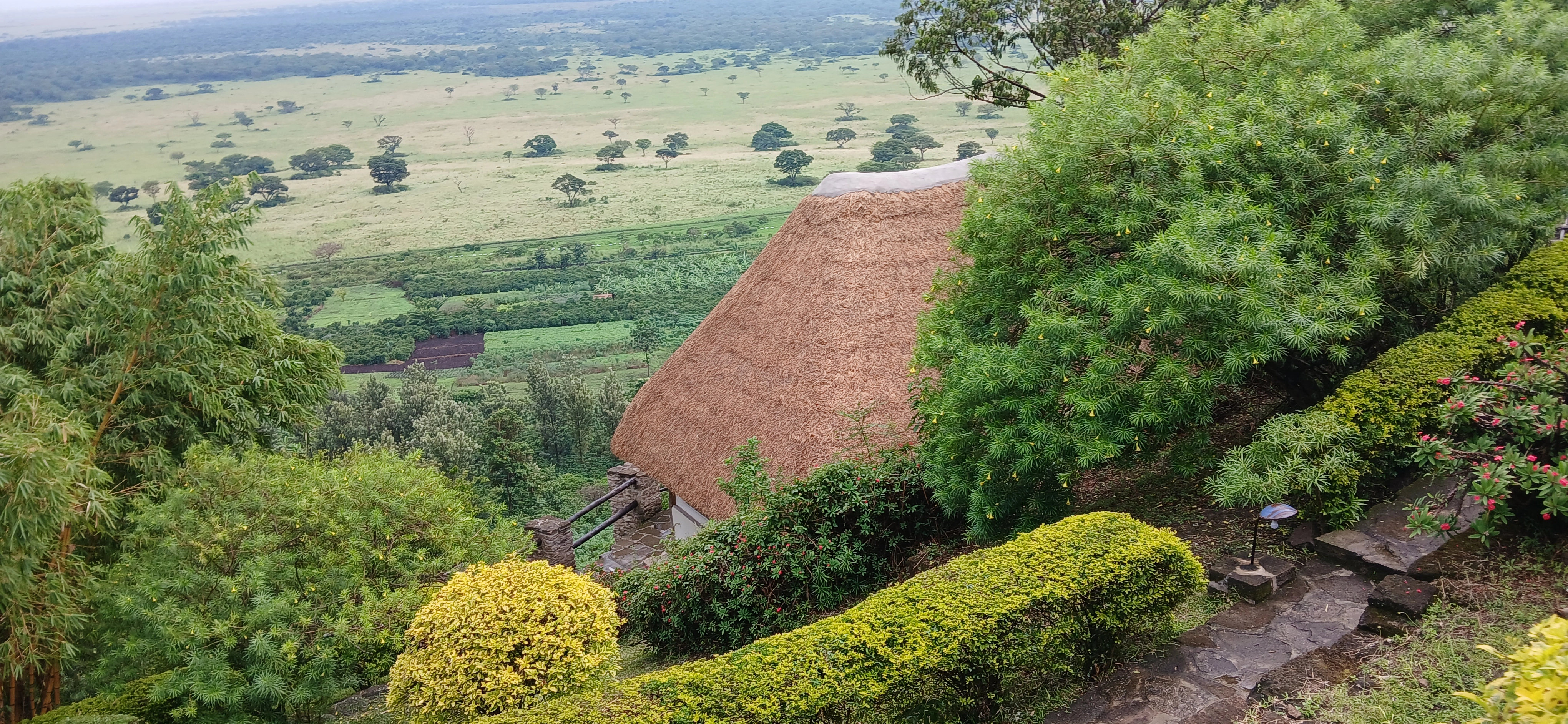 Beautiful scenes in Queen Elizabeth National Park
