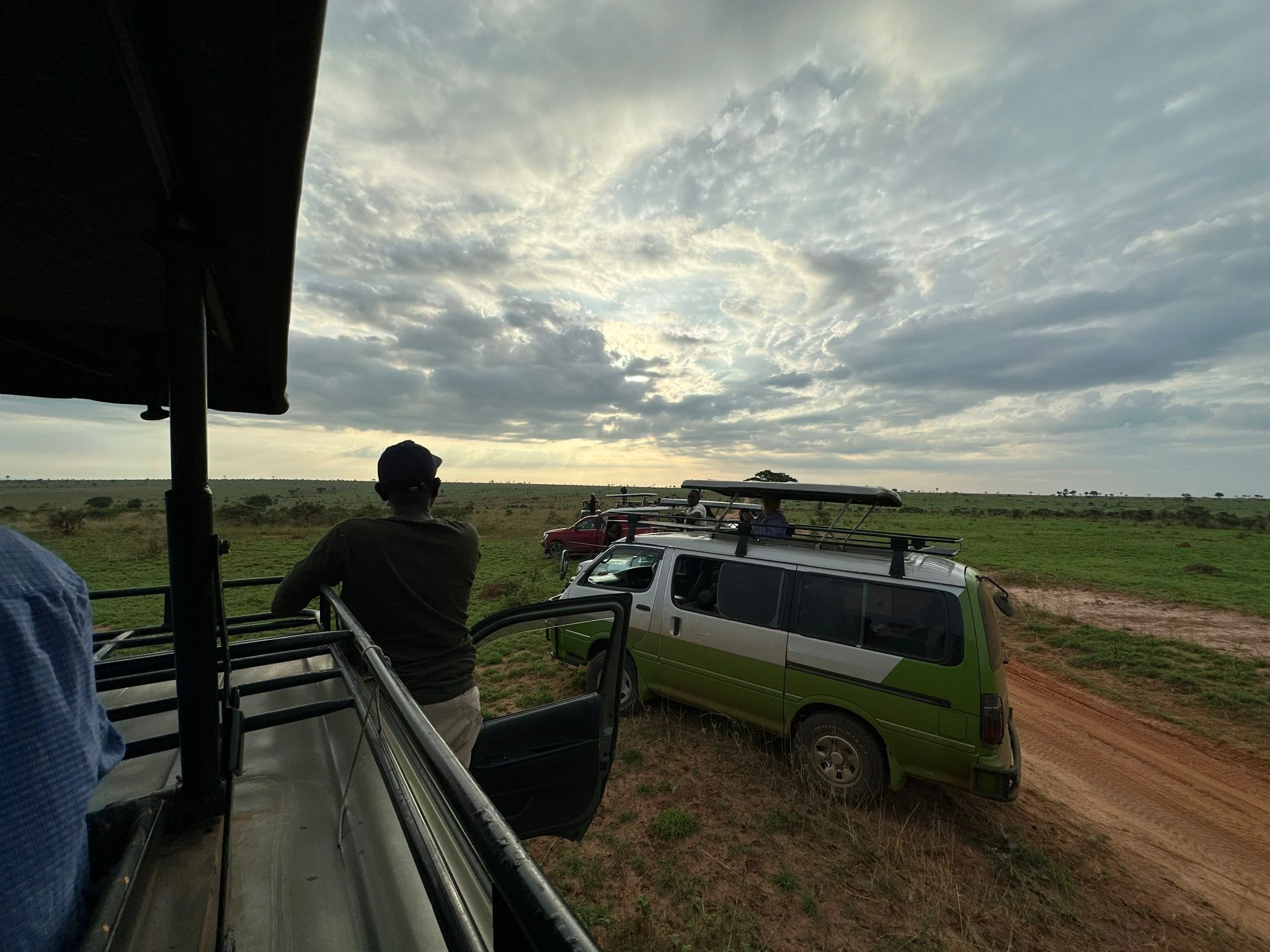 Uganda Safari Moment