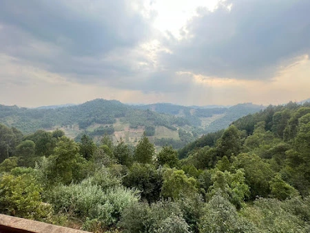 4 Days Gorilla Trekking Escape