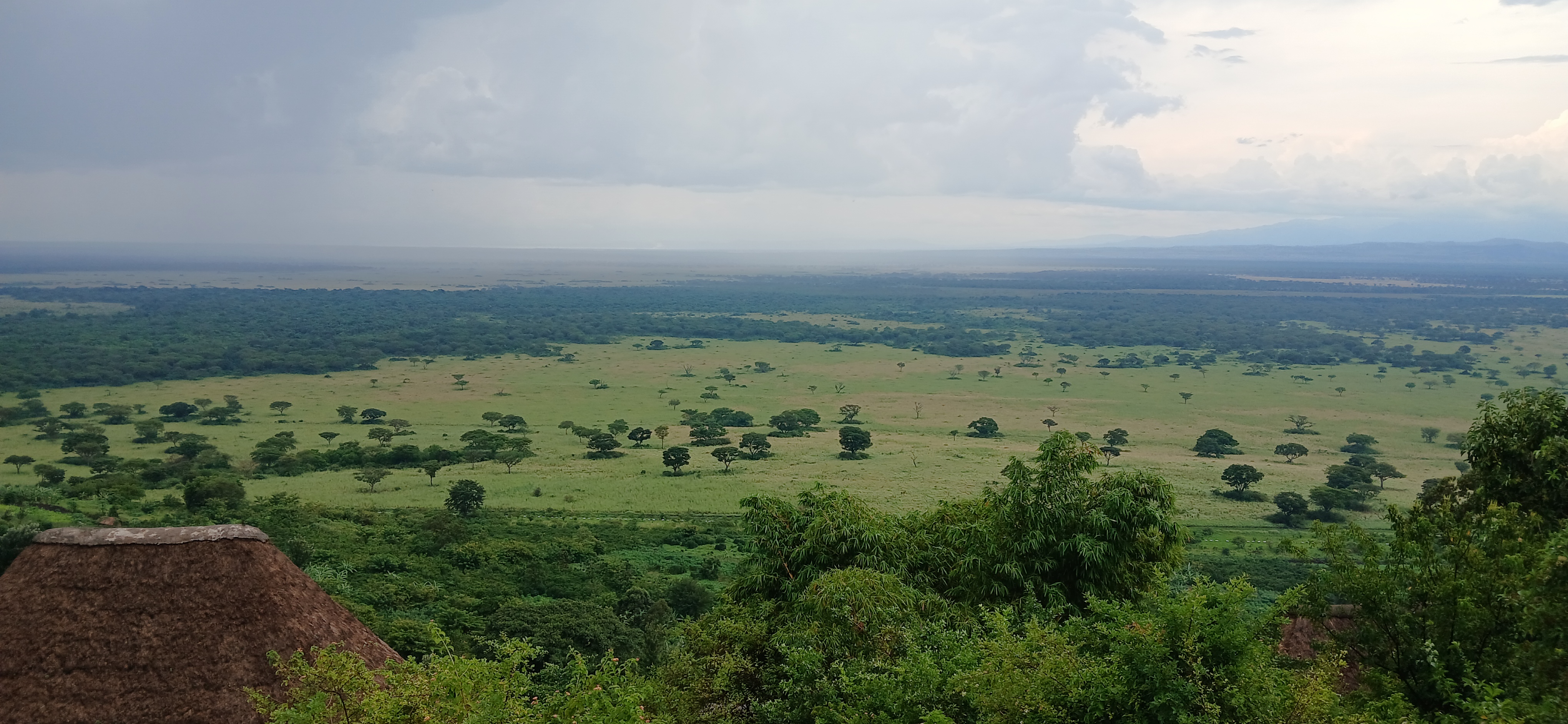 7 Days Uganda Primates and Wildlife Safari
