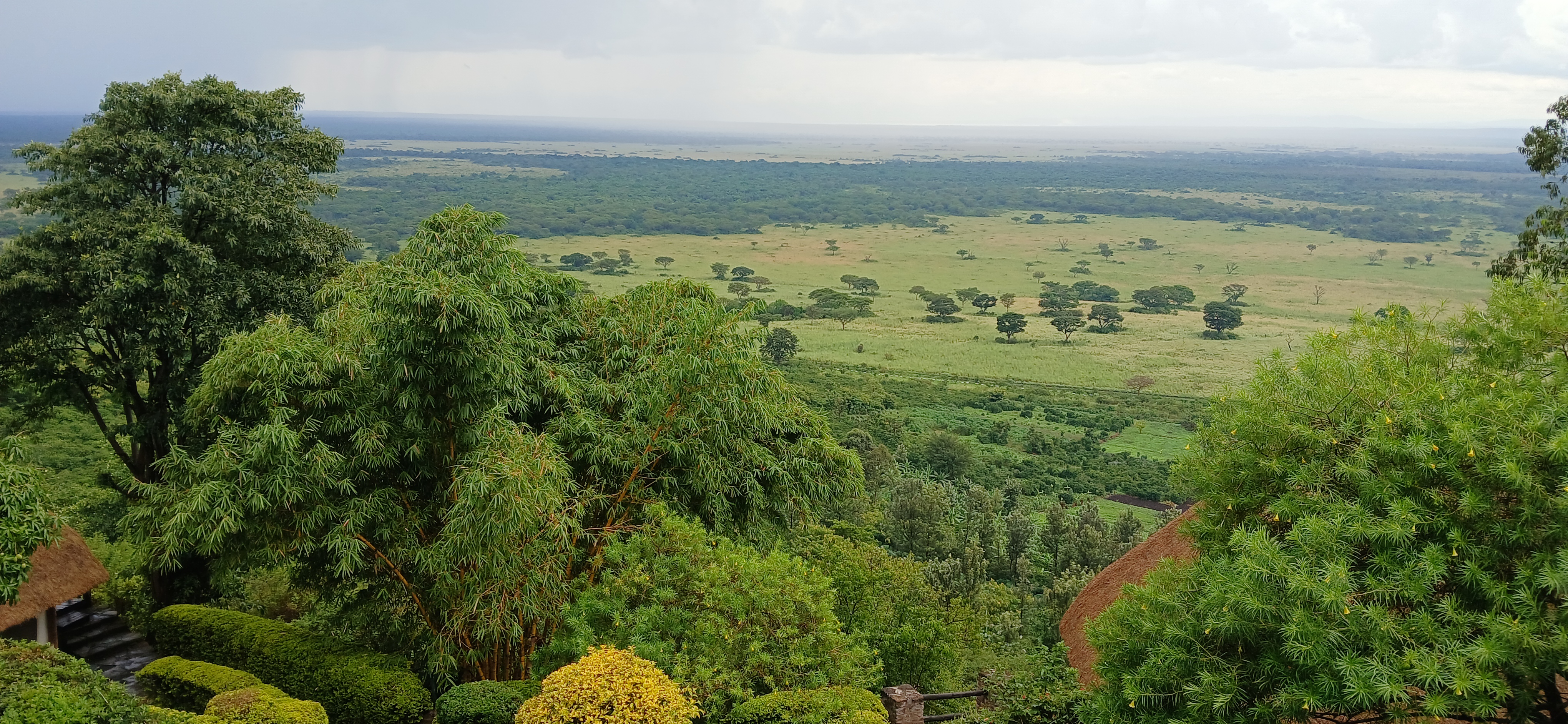 7 Days Uganda Primates and Wildlife Safari