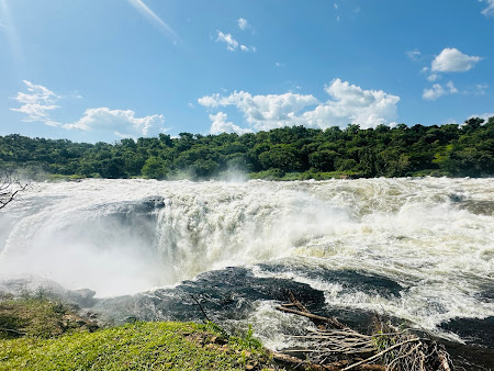 10 Days Best of Uganda Safari