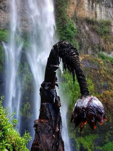 5 Days Sipi Falls Hiking & Coffee Experience: Uganda’s Hidden Gem