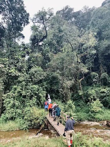 7-Day Uganda Gorilla, Chimpanzee & Wildlife Safari