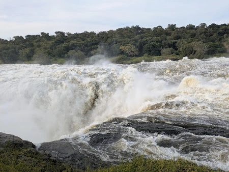 3-Day Murchison Falls & Ziwa Rhino Safari