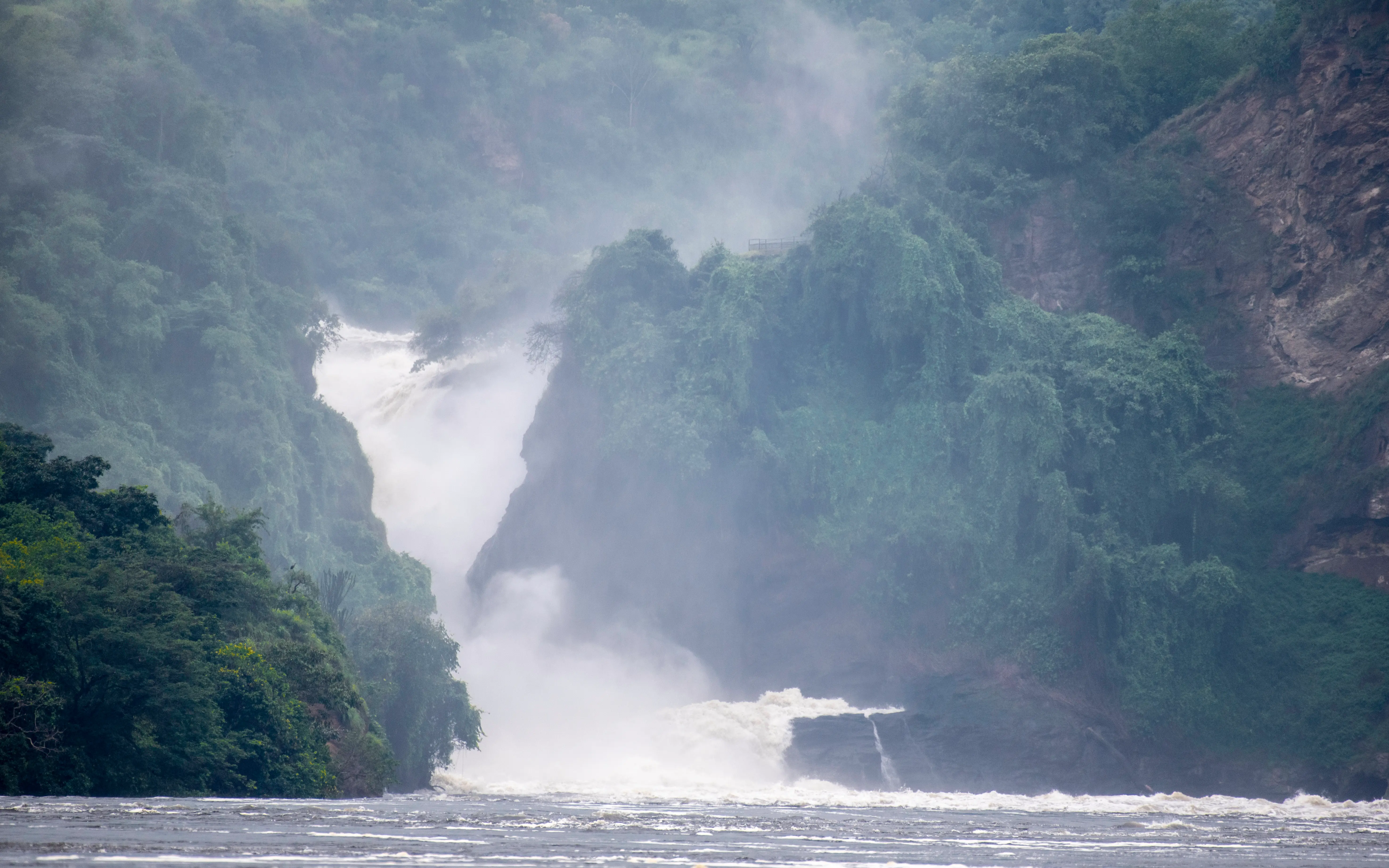 10-Day Uganda Gorillas, Chimps & Big Five Safari